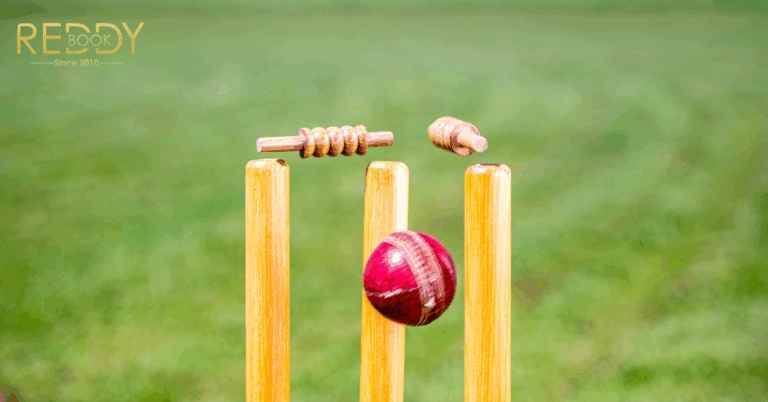 How Reddybook Club Enhances Your Sports Experience Instantly